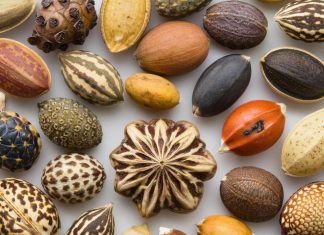 Семяныч: качество превыше всего!