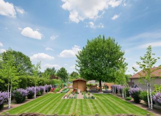 Уточнение границ земельного участка: инструкция для жителей актуальная на 2025 год