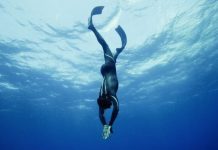 Куда слетать для практики фридайвинга зимой?