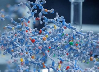 Полимерные добавки: применение, свойства и перспективы