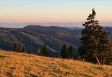 Небольшие деревни Германии трансформируют в отельные комплексы