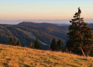 Небольшие деревни Германии трансформируют в отельные комплексы