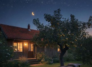 Как создать уютный дом без пыли и лишних аллергенов