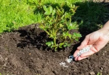 Telegraph: конфликт в Иране приведет к кризису на рынке удобрений