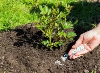 Telegraph: конфликт в Иране приведет к кризису на рынке удобрений