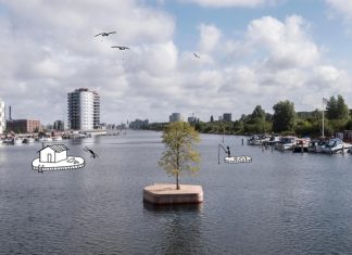 В Копенгагене установили плавучие клумбы: они поддерживают зеленые экосистемы