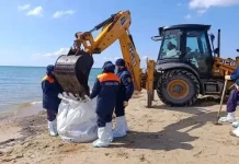 Анапа лихорадочно готовится к туристическому сезону: вывезено 1000 новых мешков мазута