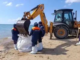 Анапа лихорадочно готовится к туристическому сезону: вывезено 1000 новых мешков мазута