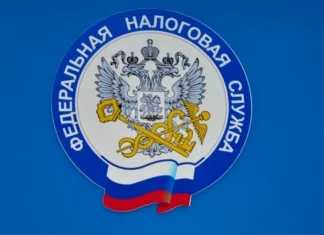 ФНС начнет контролировать переводы физлицам свыше 2,4 млн рублей в год
