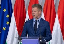 Мадьяр призвал силовиков не допустить отъезда близких к Орбану бизнесменов