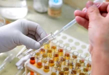 Паводки пробудили в России опасный вирус: идет вакцинация