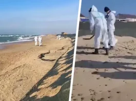 Пляжи Анапы продолжают очищать от мазута: что ждет туристов в начале сезона