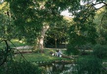 Появился новый рейтинг самых зеленых городов мира