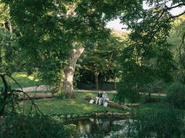 Появился новый рейтинг самых зеленых городов мира