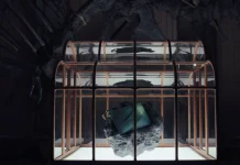 Создана сумка из кожи тираннозавра