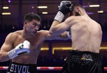 Титульный бой Бивола против Айферта мог пройти в Германии, Петербург не рассматривался