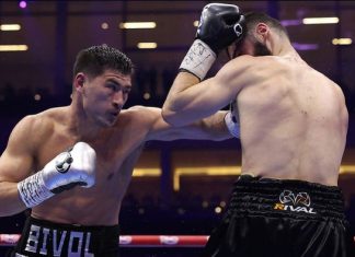 Титульный бой Бивола против Айферта мог пройти в Германии, Петербург не рассматривался