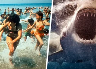 Турист остался без ноги на Мальдивах после нападения акулы