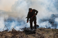 Цены на морковку и лимоны взлетели в Новосибирске в марте-2025