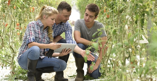 РСХБ на "Золотой осени": Российское агрообразование может стать "экспортным товаром"