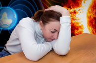 Казахстанская клубника стала киргизской на рынках Новосибирска в мае-2024