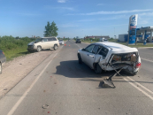 Четыре сыночка и лапочка-дочка родились у канадских волков в Новосибирске