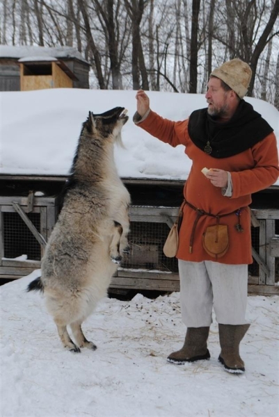 Волшебное время: чем заняться в Новый год в Самарской области?