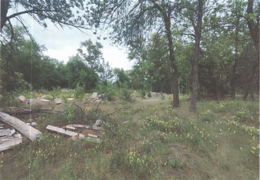 Суд постановил вернуть государству территорию бывшего детского лагеря "Кировец"