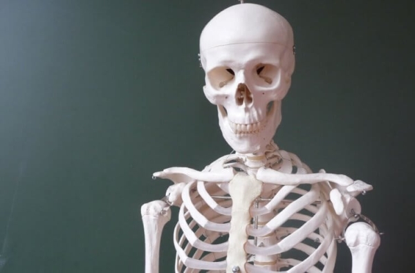 Что делают человеческие микробы после смерти хозяина — это настоящая борьба за выживание - Hi-News.ru