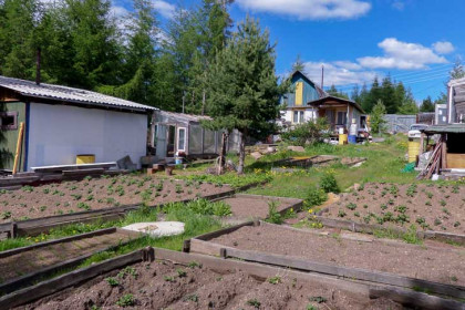 Как правильно жарить шашлыки, рассказали в мэрии Новосибирска