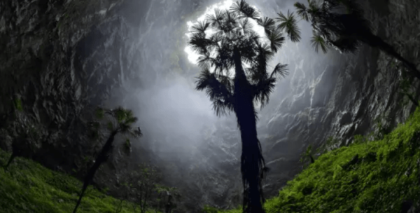 “Райские ямы”: пещеры, в которых растут древние леса - Hi-News.ru