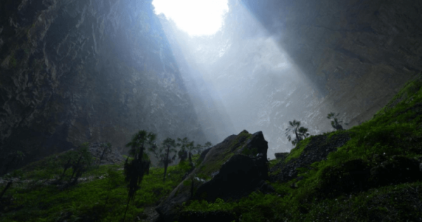 “Райские ямы”: пещеры, в которых растут древние леса - Hi-News.ru