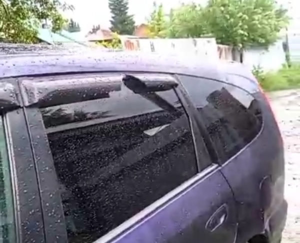 Град с куриное яйцо побил машины и огороды в Новосибирской области