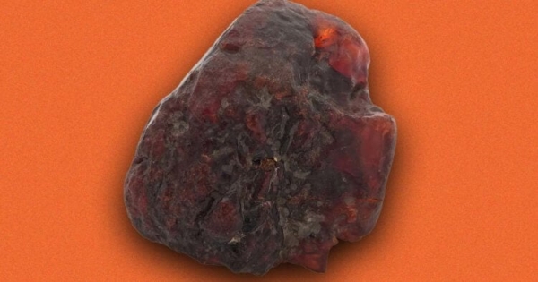 Янтарь за миллион евро использовали как подпорку для дверей - Hi-News.ru