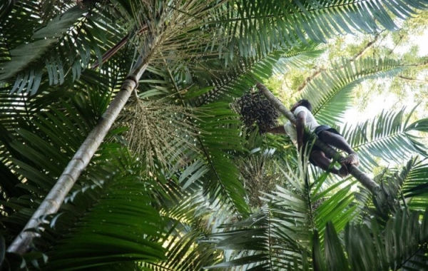 5 самых тяжелых работ, на которых люди гробят здоровье за копейки - Hi-News.ru