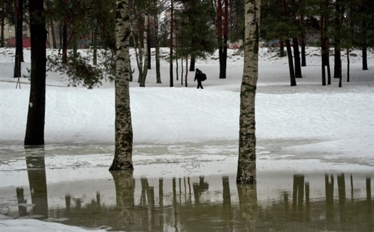 В Самарской области ожидается аномально теплый февраль