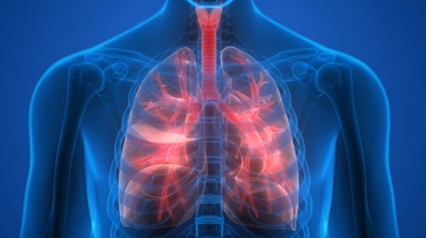 Почему невозможно задохнуться, просто удержав дыхание - Hi-News.ru