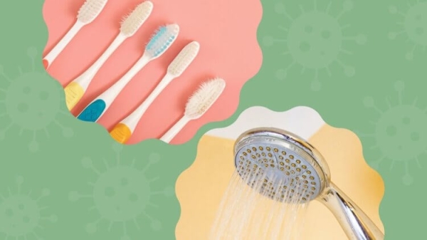 На зубных щетках и лейках для душа нашли сотни вирусов - Hi-News.ru