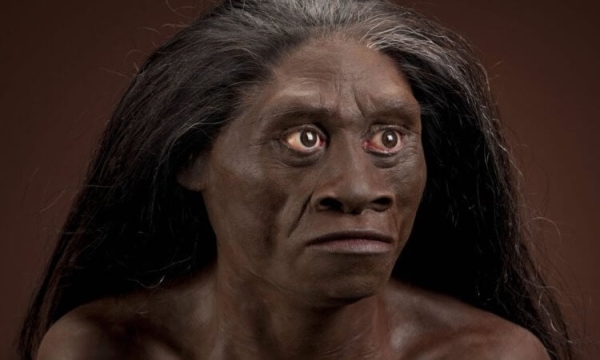 В Индонезии жили «хоббиты» ростом около 100 сантиметров: ученые находят все больше скелетов - Hi-News.ru