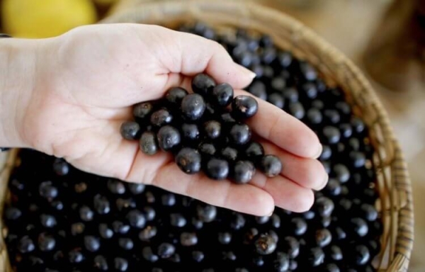 5 самых тяжелых работ, на которых люди гробят здоровье за копейки - Hi-News.ru