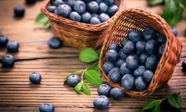 Почему растения зеленые? Ответ сложнее, чем вы думаете - Hi-News.ru