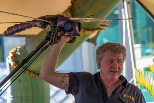 Почему 300 миллионов лет назад на Земле жили гигантские насекомые - Hi-News.ru