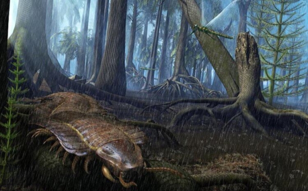 Почему 300 миллионов лет назад на Земле жили гигантские насекомые - Hi-News.ru