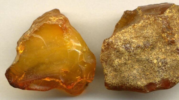 Янтарь за миллион евро использовали как подпорку для дверей - Hi-News.ru