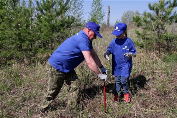 КуйбышевАзот высадил 20 тысяч саженцев в тольяттинском лесу