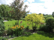 Тля сожрет всё: о влиянии ливней и жары на посадки рассказал агроном Мармулев