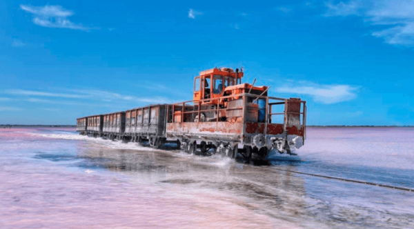 Вы никогда не поверите откуда это фото… Алтайский край Россия - Hi-News.ru