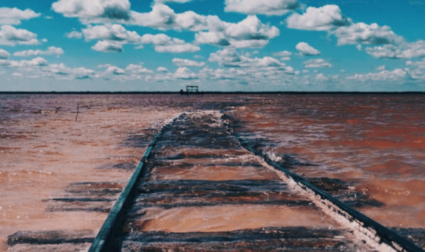 Вы никогда не поверите откуда это фото… Алтайский край Россия - Hi-News.ru