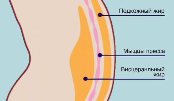 Проверьте ваш риск перелома позвоночника — это можно сделать двумя пальцами - Hi-News.ru
