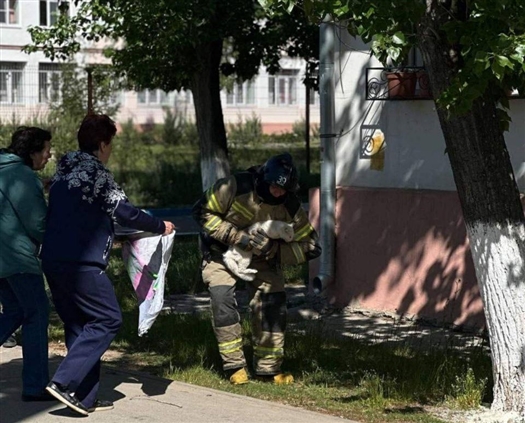 Министерство добра: спасатели МЧС сняли с дерева кота в Тольятти